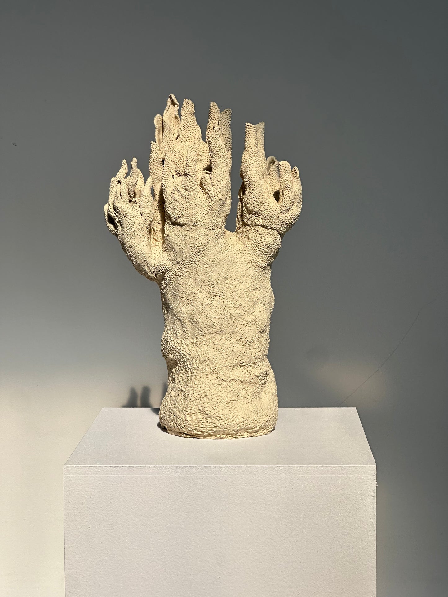 AXEL BESSON,CORAL ECHOES