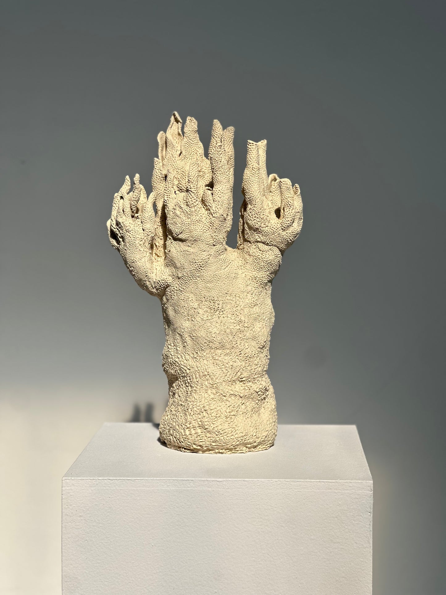 AXEL BESSON,CORAL ECHOES