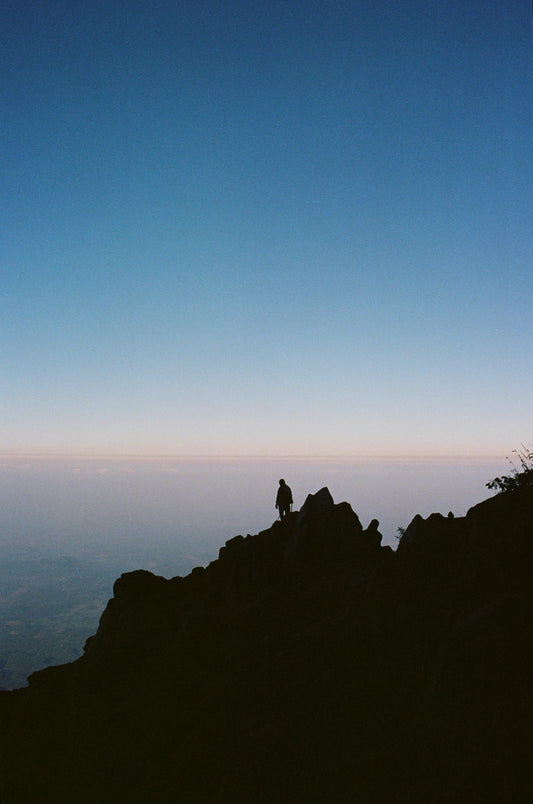 JOSHUA CRIADO, FEELING ALIVE