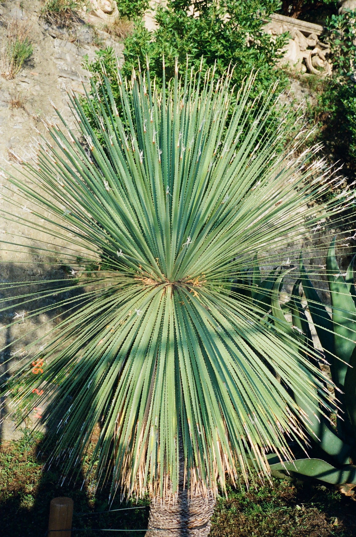 JOSHUA CRIADO, GOD’S GEOMETRY