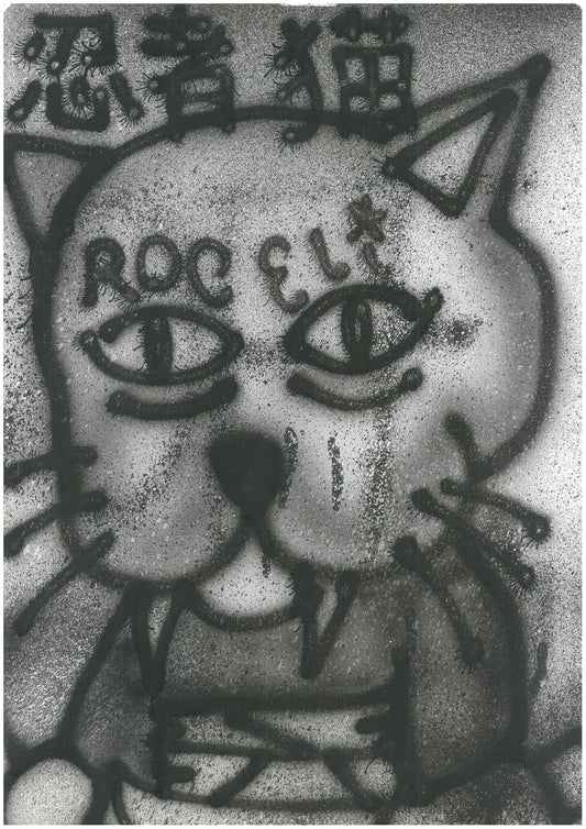 TIROCELI, OSHINIBI CATS